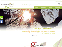 Tablet Screenshot of conceptcameleon.com